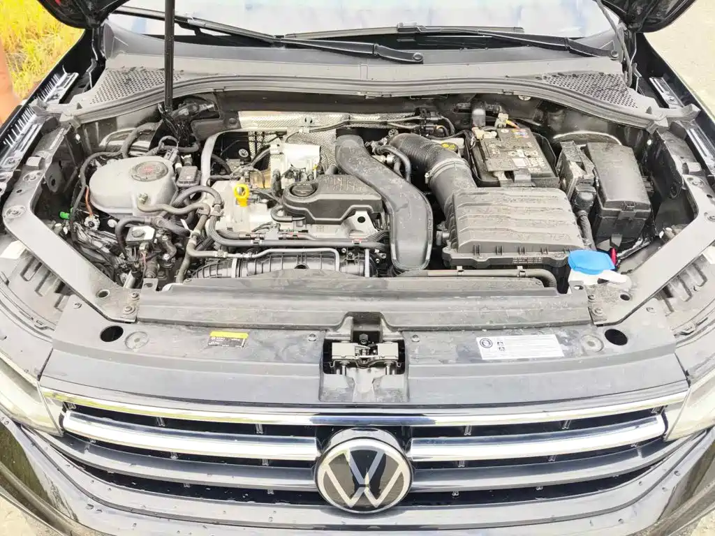 Volkswagen Tiguan L 2025 2025 Model 300TSI Auto 2WD Dragon Edition