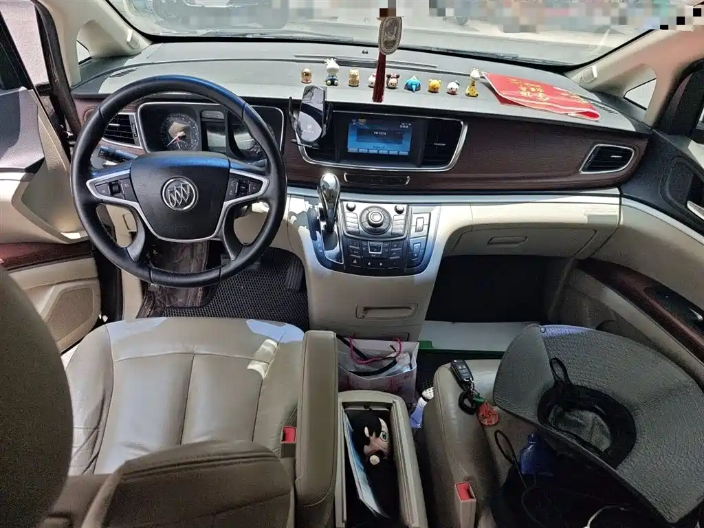 Buick GL8 2014 2.4L LT Luxury Business Executive фото 13