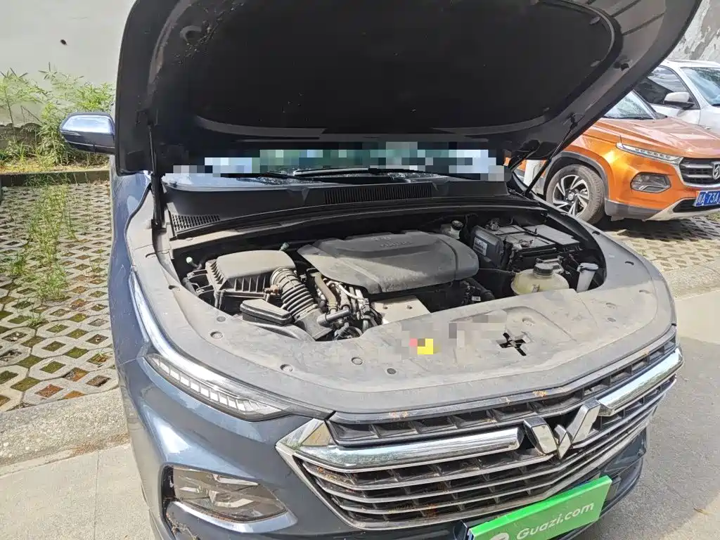 Фото 22 - Wuling Motors Wuling Victory