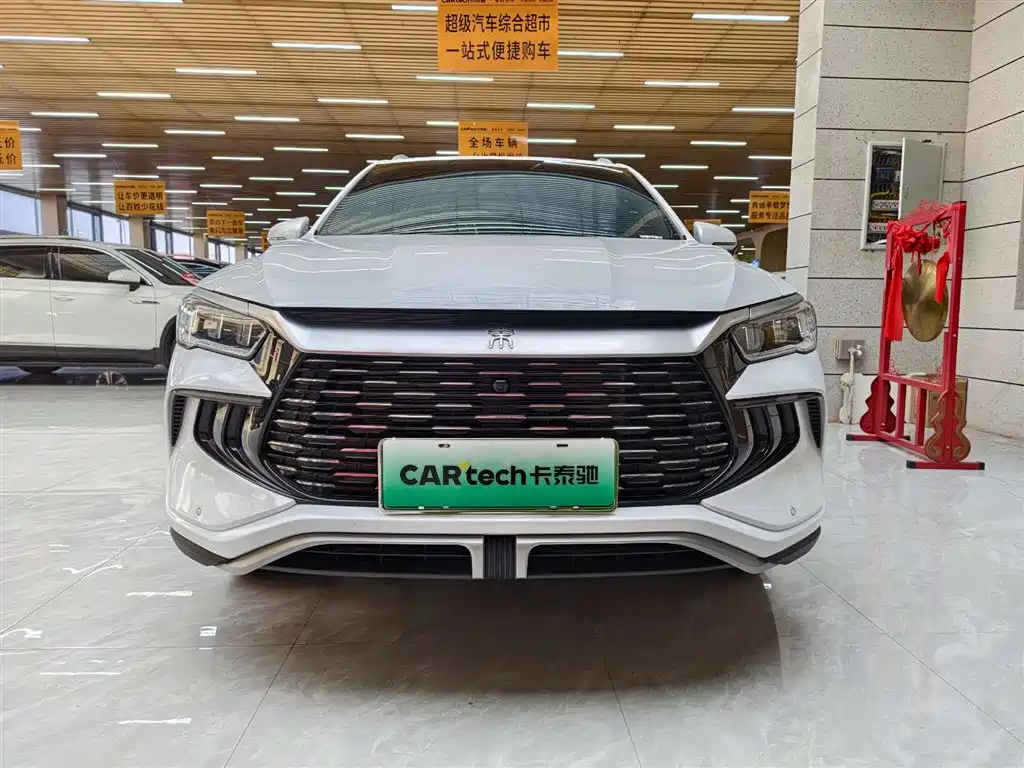 BYD Song Pro New Energy 2024 Glory Edition DM-i 71KM Pilot фото 3