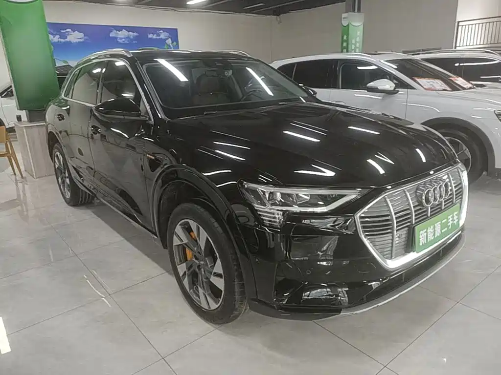 Audi e-tron (Import) 2020 2019 55 quattro Technology