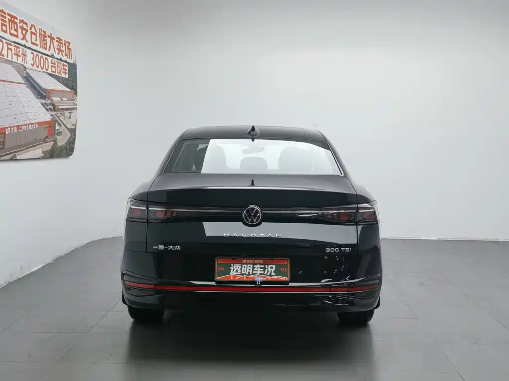Фото 4 - Volkswagen Magotan