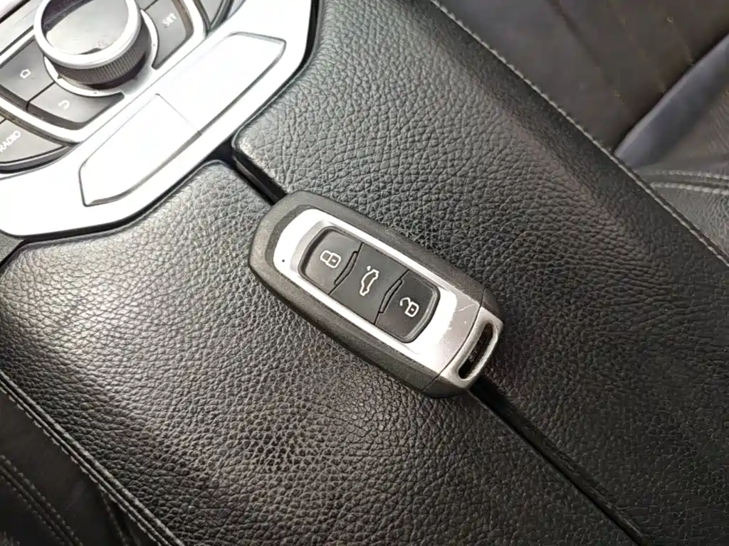 Фото 9 - Geely Borui