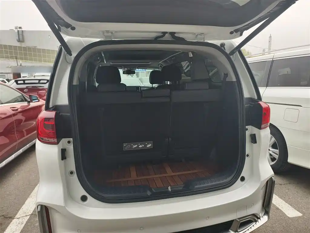 GAC Trumpchi Trumpchi M8 2021 Master Series 390T Ultimate Edition фото 19