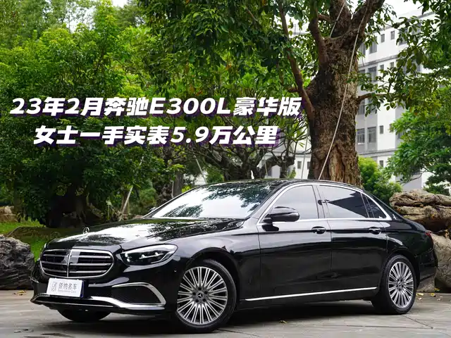 Mercedes-Benz E E 300 L, Люкс