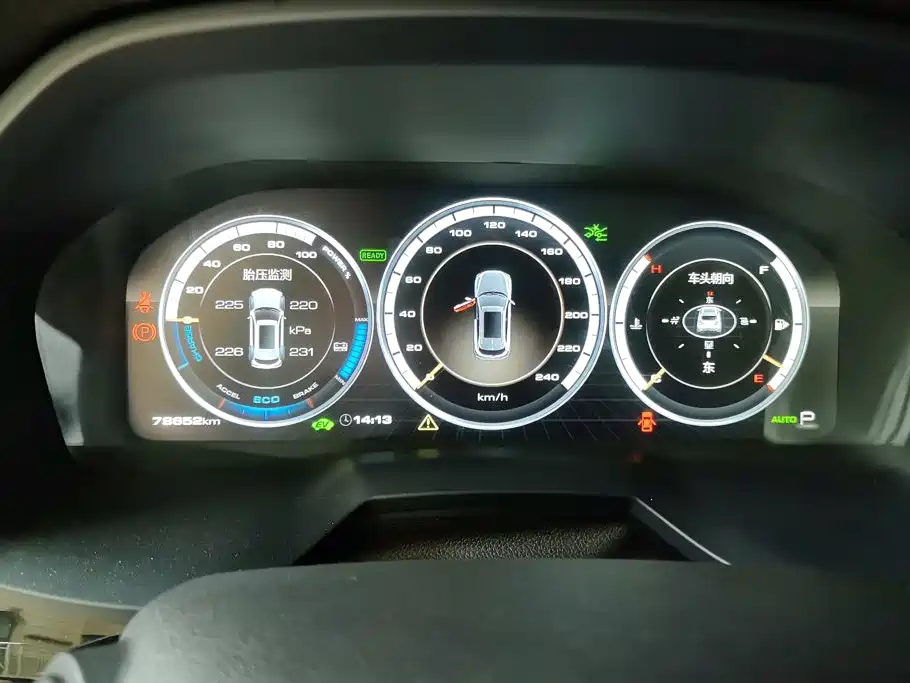 WEY P8 2018 2018 2.0T Flagship Model