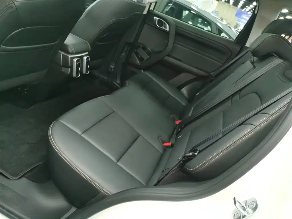 Haval Big Dog 2026 Model 1.5T High Configuration фото 13