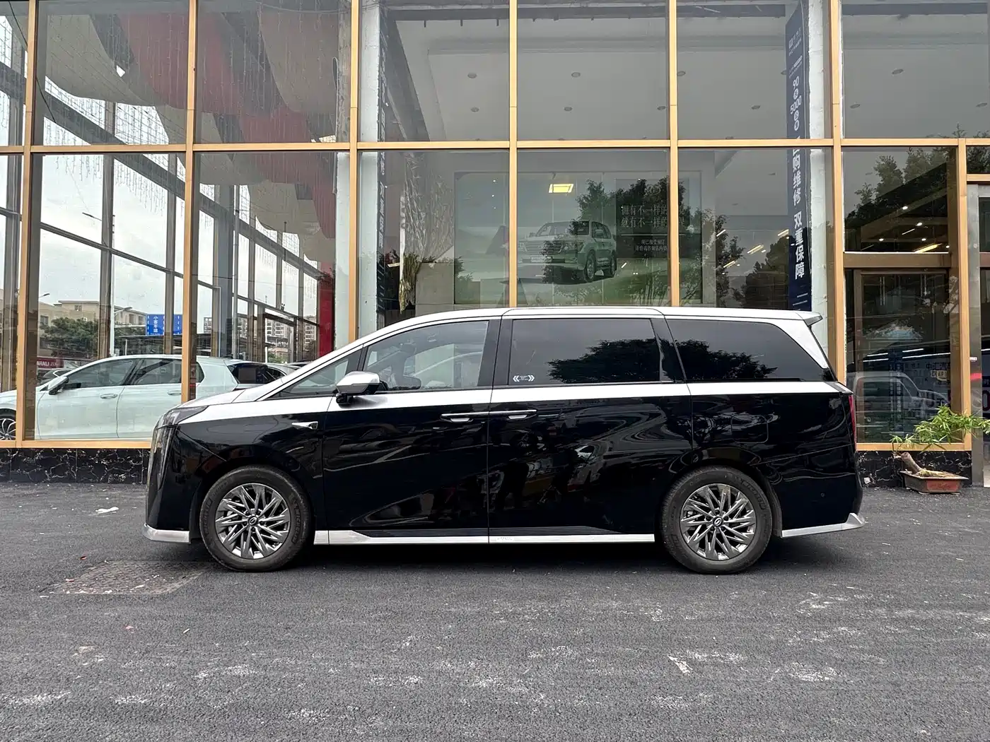 GAC TRUMPCHI YEARNING FOR M8