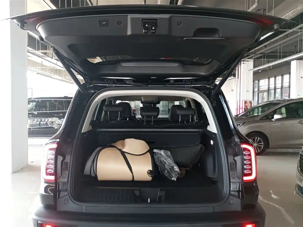 Haval Big Dog 2022 2.0T DCT FWD Chinese Hound Edition фото 9
