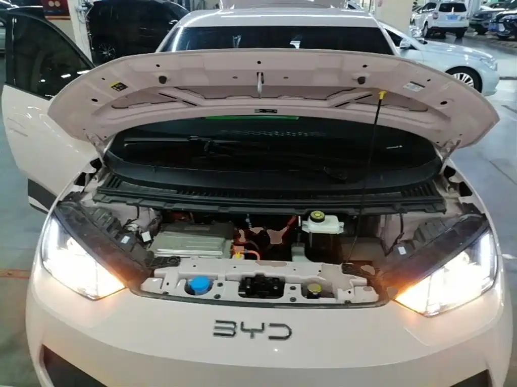 BYD Seagull 2025 Smart Drive Edition 305km Vitality Version фото 20