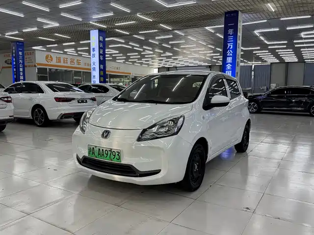  Changan Changan Benben E-Star 2021 National Edition Xinyi LFP (31.86kWh)