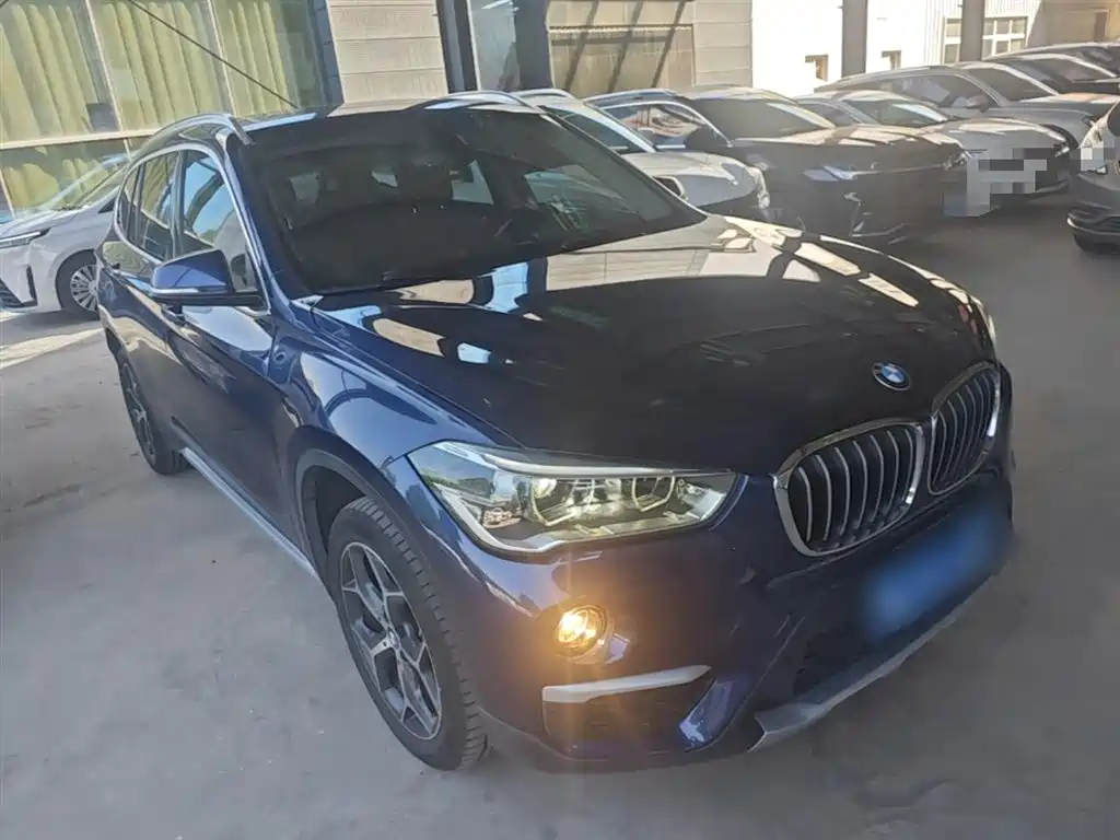 BMW X1 2018 xDrive20Li Premium Model фото 4