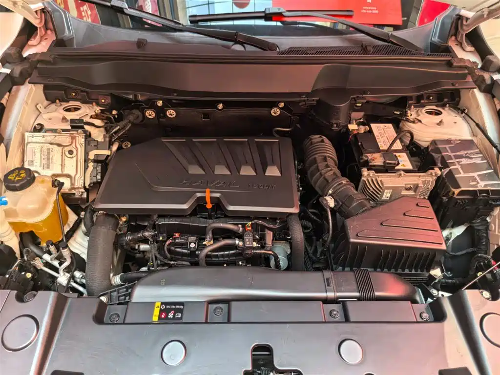 Haval Big Dog 2021 1.5T DCT 2WD Border Collie Edition фото 3