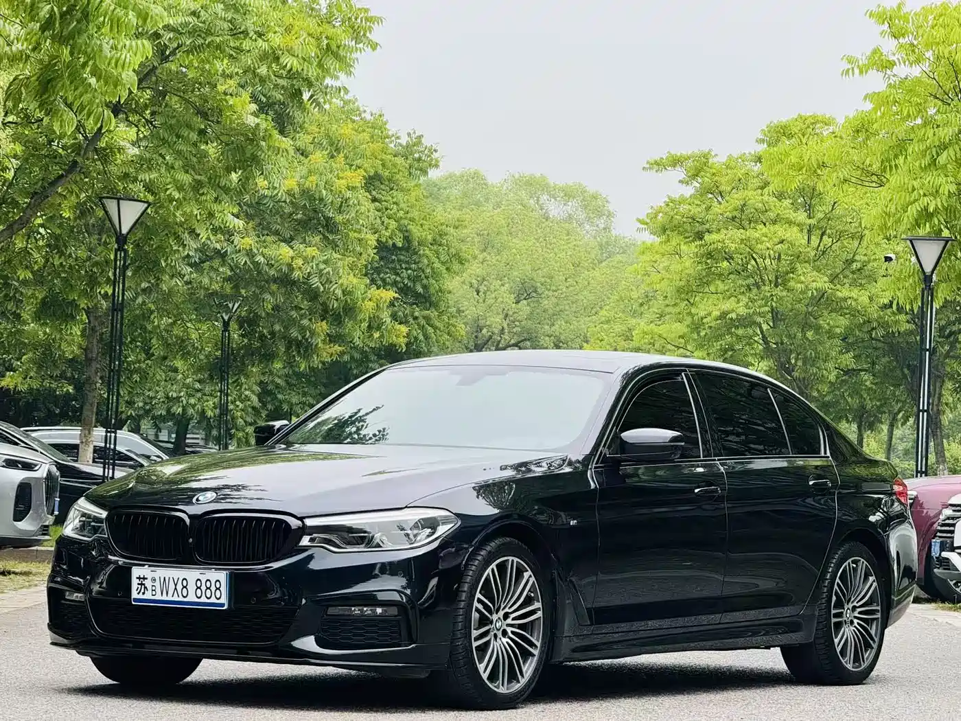BMW 5 Series 2019 530Li Premium M Sport Package