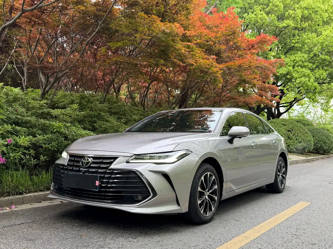 TOYOTA ASIAN DRAGON 2024