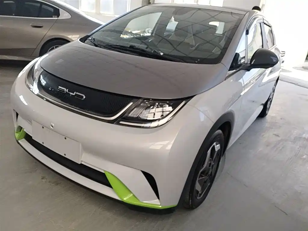 BYD Dolphin 2021 Model 405km Fashion Edition