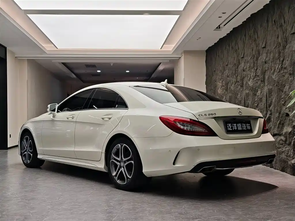 Mercedes-Benz CLS 2015 CLS 260 фото 18