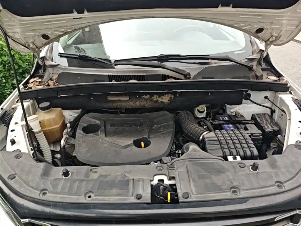 Bisu Auto Bisu T5 2017 2017 1.5T Manual Premium
