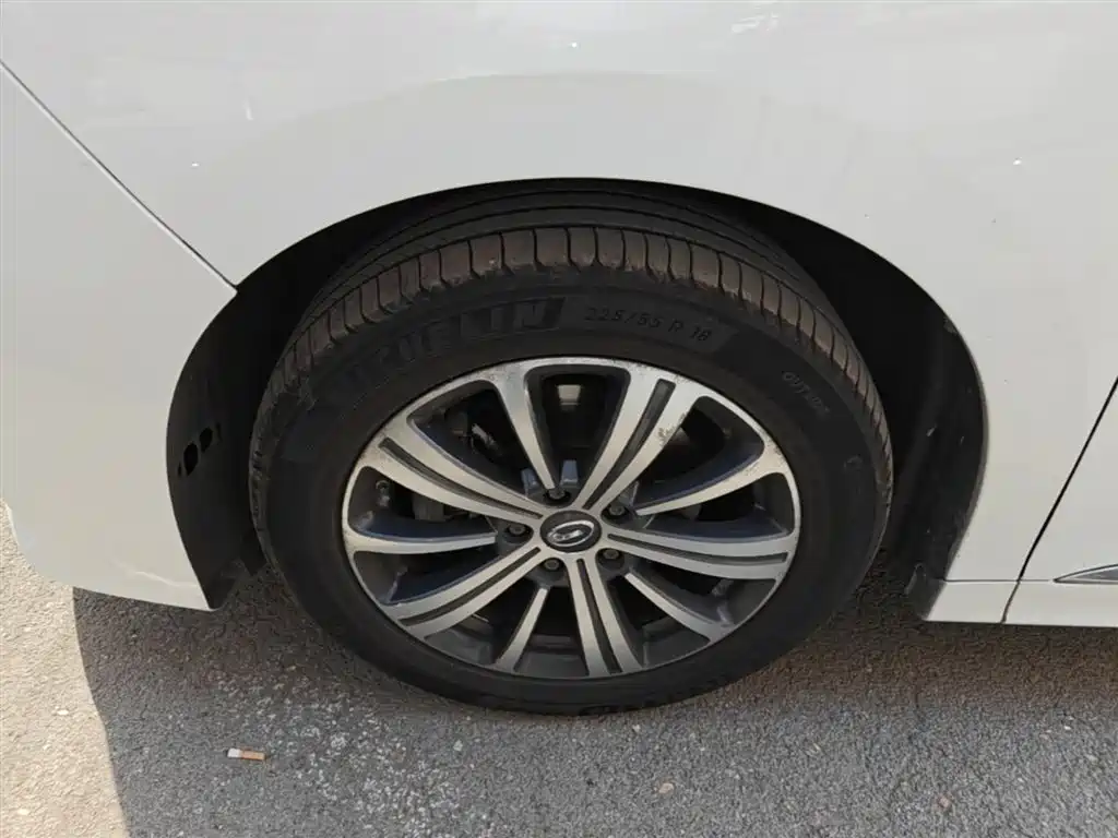 GAC Trumpchi Trumpchi M8 2020 Pilot 390T Prestige Edition фото 23