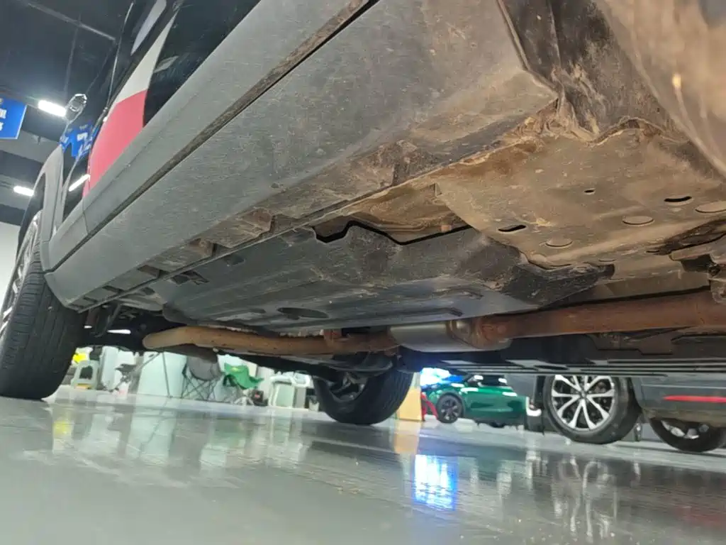 Haval Big Dog 2025 2024 1.5T DCT Border Collie Edition