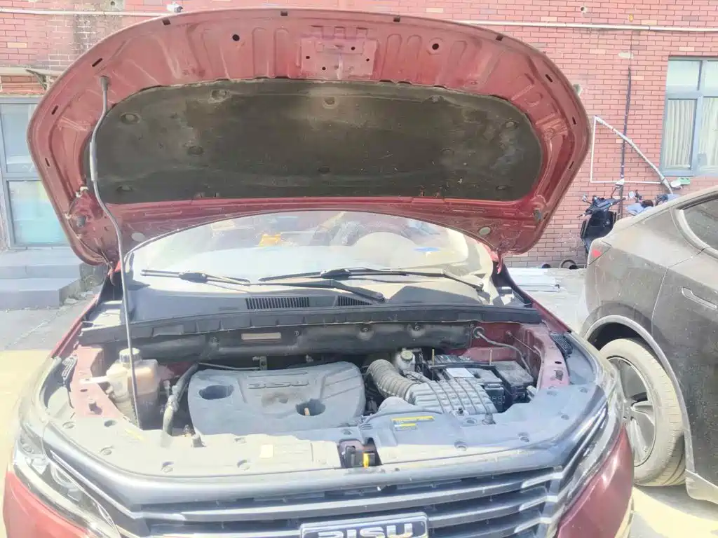 Bisu Auto Bisu T5 2018 2017 1.5T Manual Premium