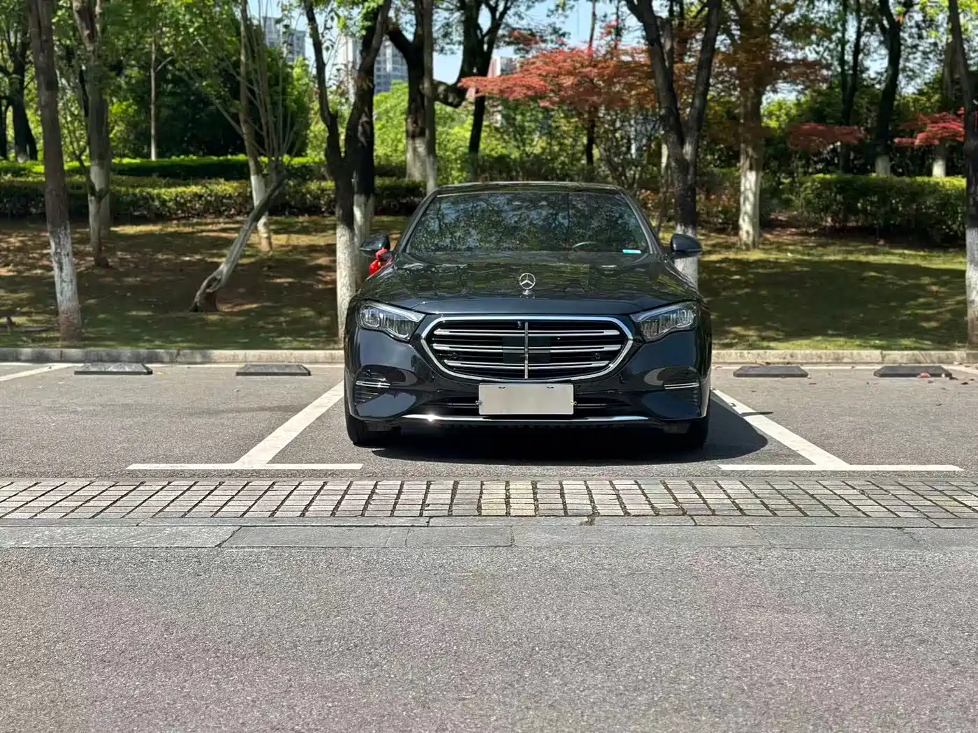 Mercedes-Benz E-Class 2024 E 300 L Fashion