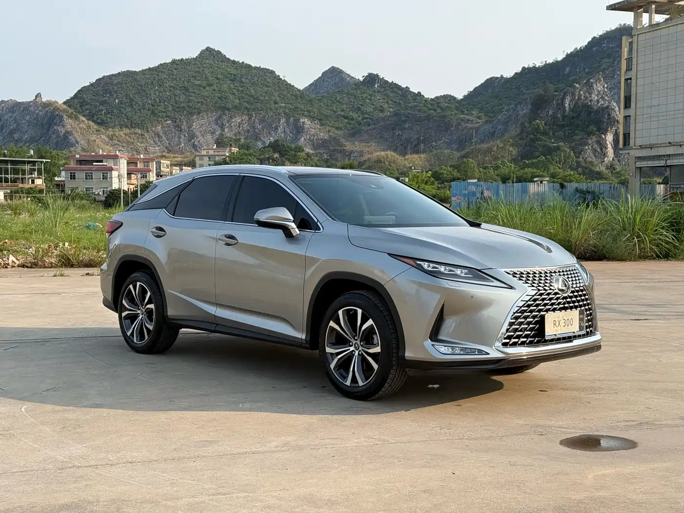 Lexus RX 2021 300 AWD Special Edition фото 3