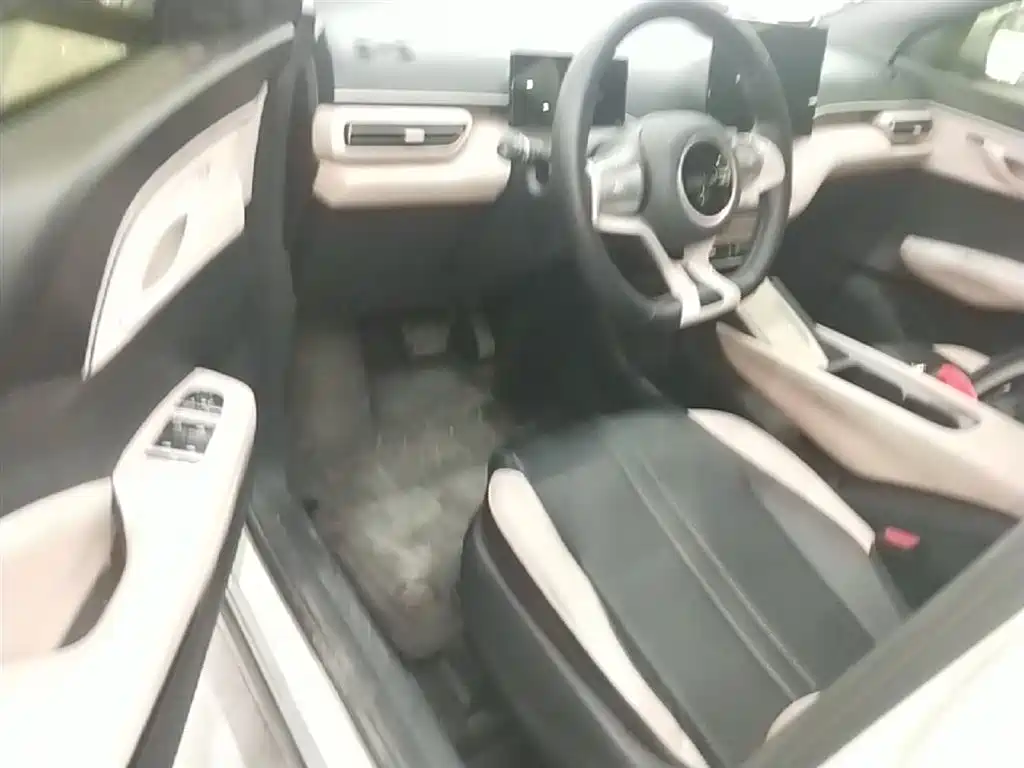 BYD Seagull 2023 Freedom Edition фото 16