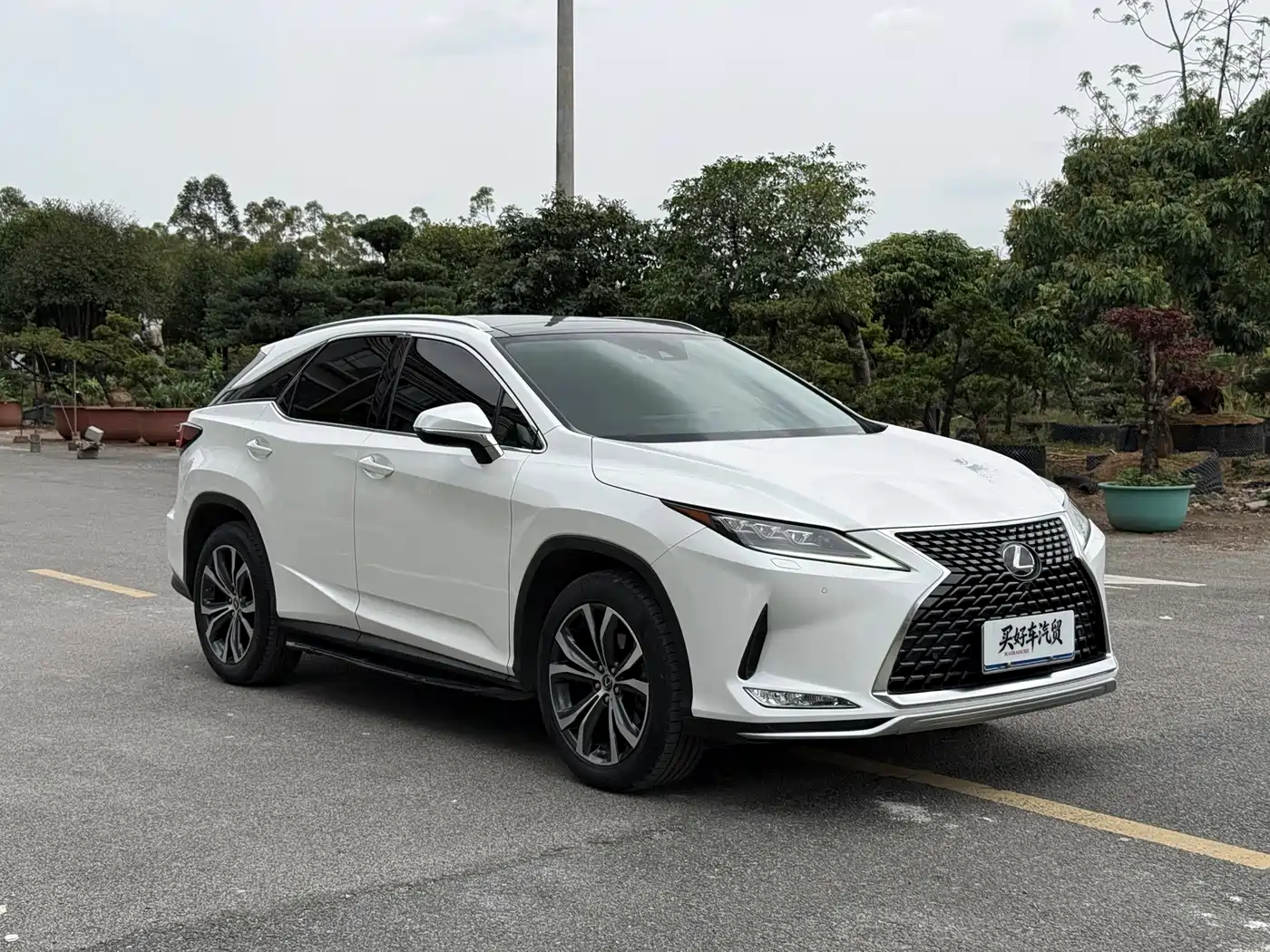 Lexus RX 2020 300 4WD Luxury Edition China VI фото 18