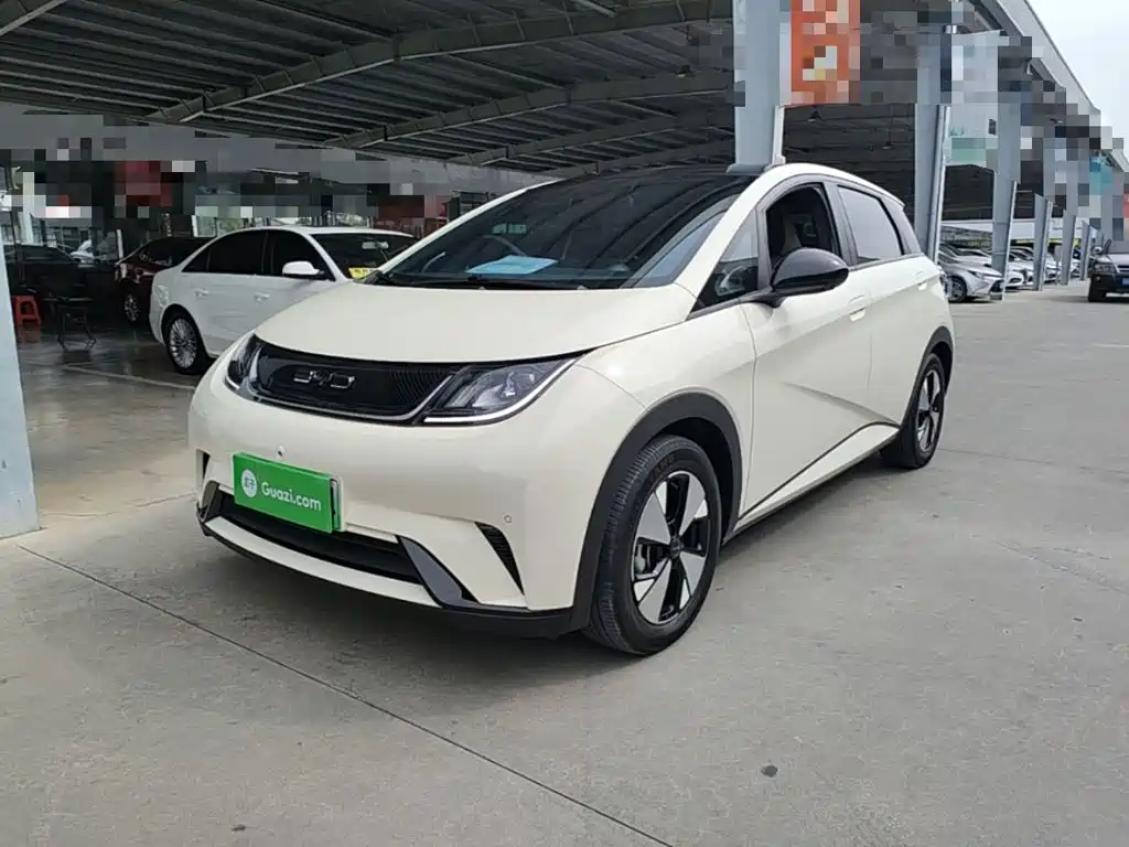 Фото 1 - BYD Dolphin