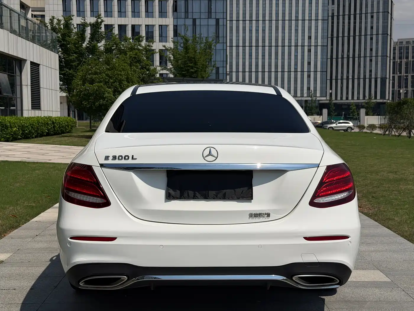 Mercedes-Benz E-Class 2019 E 300 L Sport Luxury фото 5
