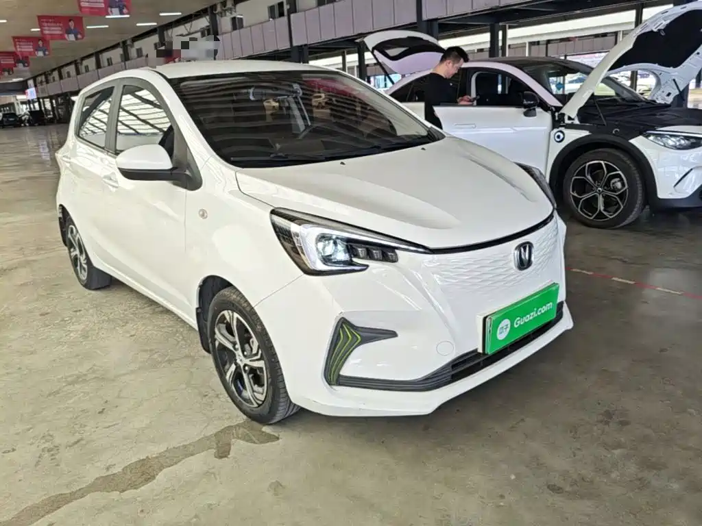Changan Benben E-Star 2020 2020 Heartbeat Edition (NMC Battery)