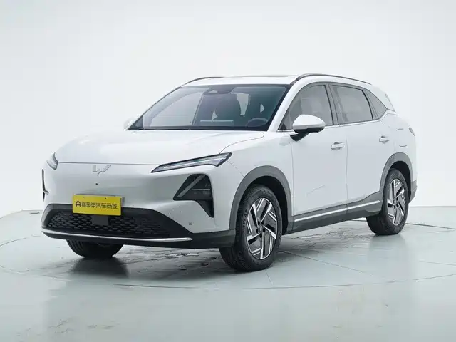 Wuling Motors Wuling Xingguang S 2025 2024 510km Flagship Model