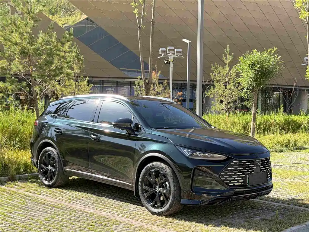 BYD Tang New Energy 2025 2025 DM-i 115KM Prestige Type