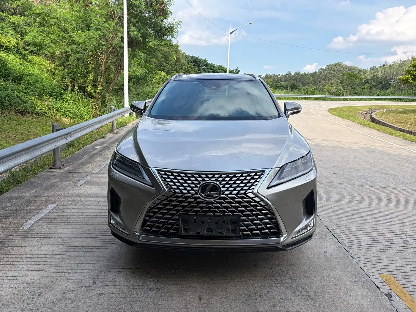 Lexus RX 2020 300 AWD Elegance Edition China V фото 2