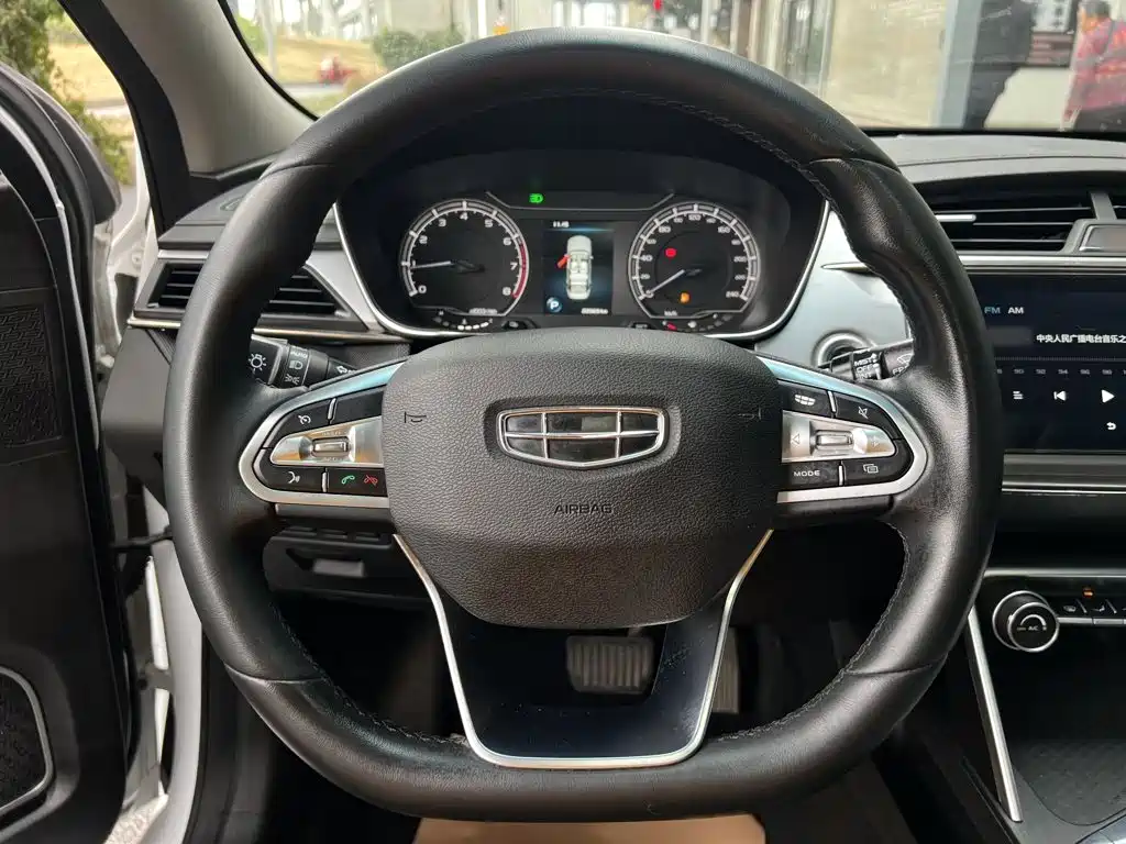 Фото 3 - Geely Binrui