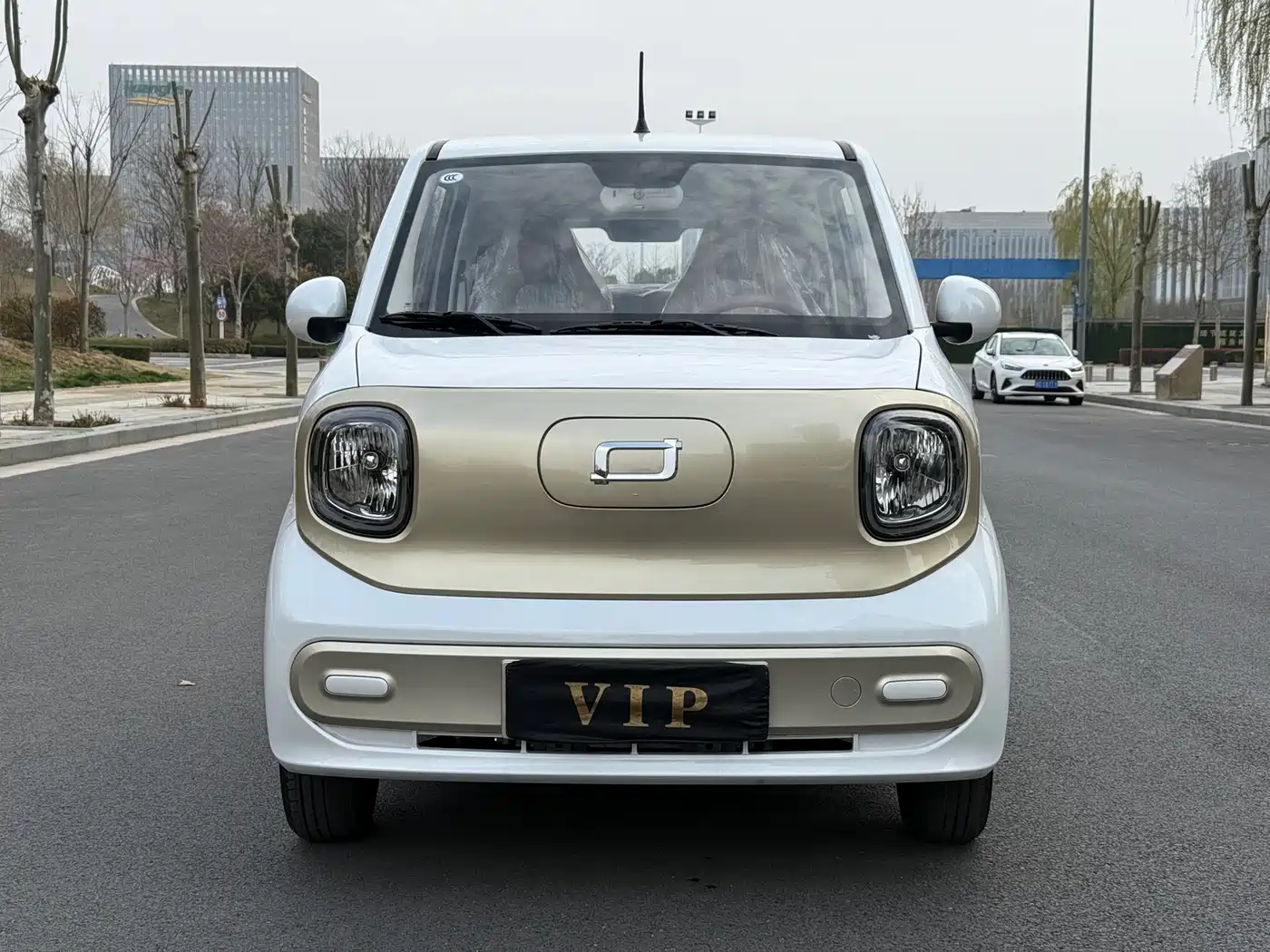 BESTUNE PENTIUM PONY