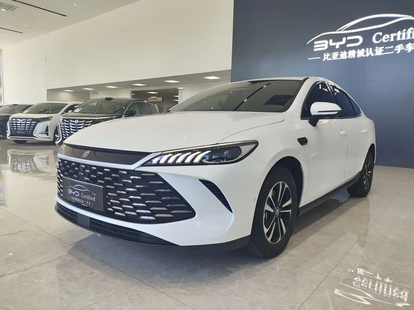BYD Qin PLUS 2025 DM-i Smart Drive Edition 120KM Surpassing Type