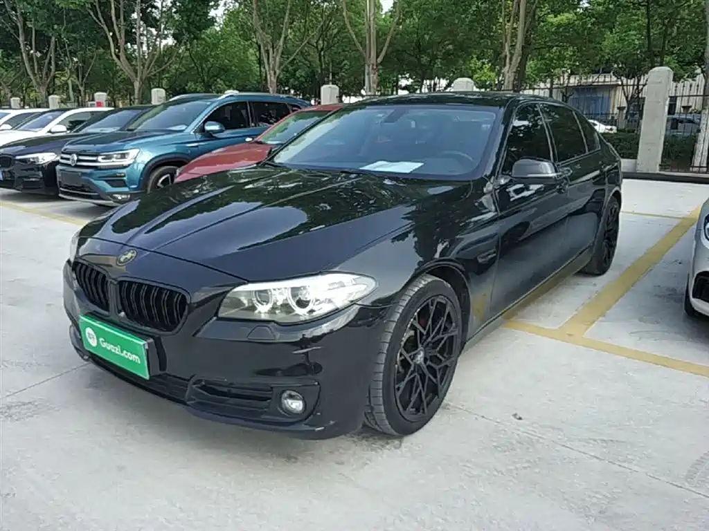 BMW 5 Series 2017 525Li Luxury Design Package