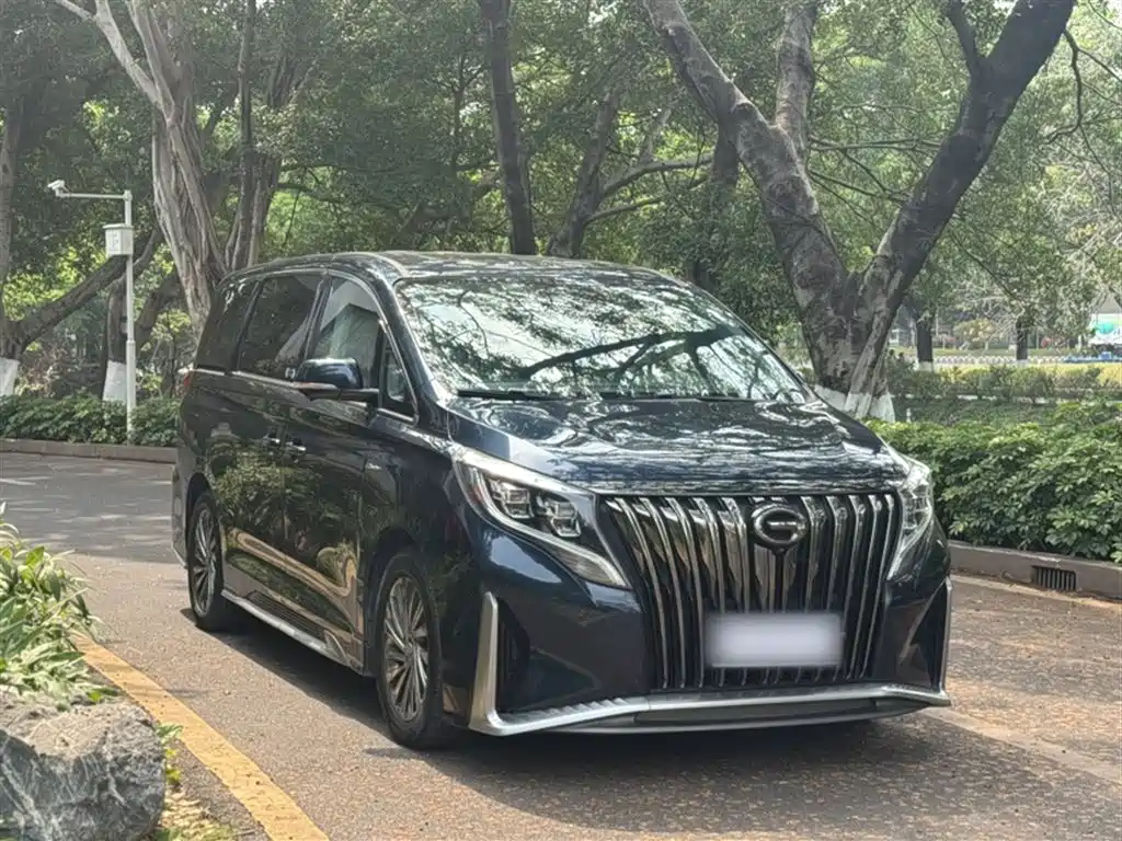 GAC Trumpchi Trumpchi M8 2021 Master Series 390T Ultimate Edition фото 24
