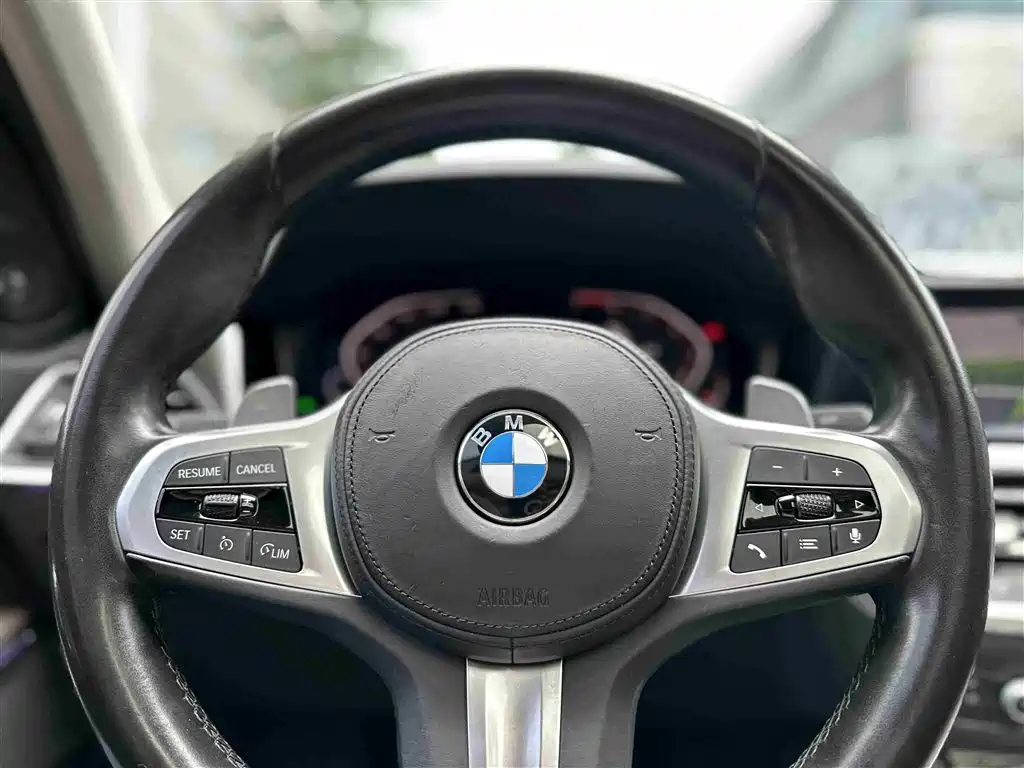 BMW 3 Series 2020 325Li M Sport Black Night Package фото 12