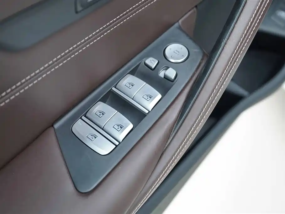BMW 5 Series New Energy 2020 530Le Range Upgrade Luxury Package фото 11
