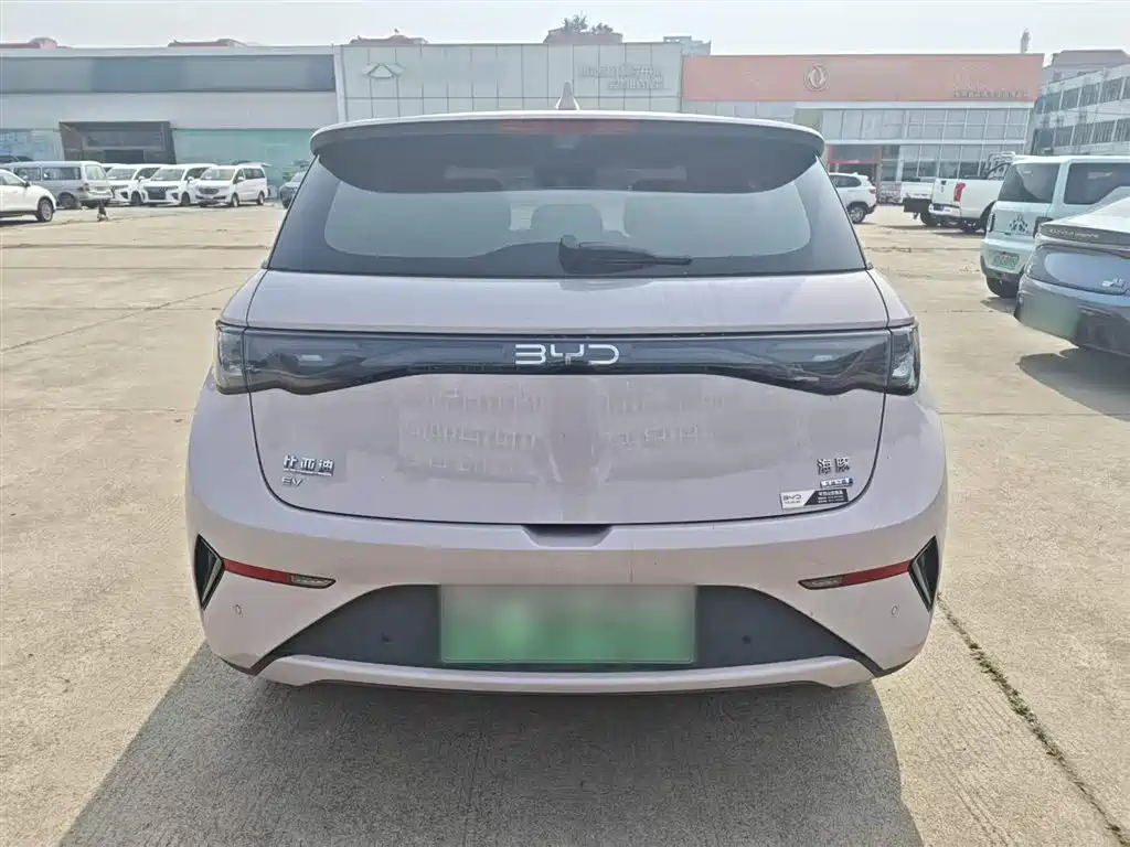 BYD Dolphin 2025 Smart Drive Edition 410km Fashion Version фото 4