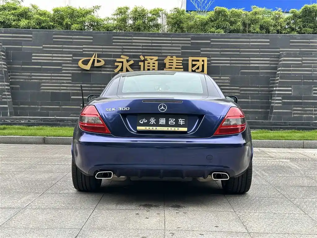 Mercedes-Benz SLK-Class 2010 Model SLK 300 Grand Edition фото 12
