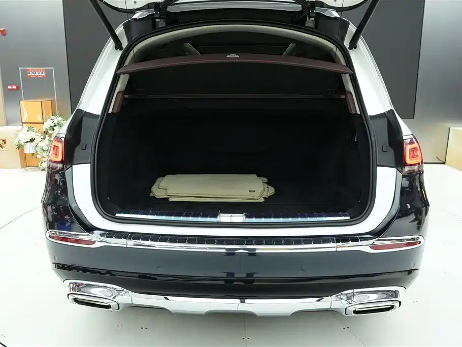Mercedes-Benz Maybach GLS 2021 GLS 480 4MATIC фото 29