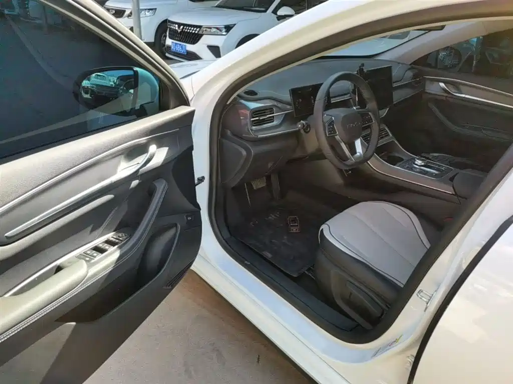 BYD Destroyer 05 2024 Glory Edition DM-i 55KM Luxury фото 16