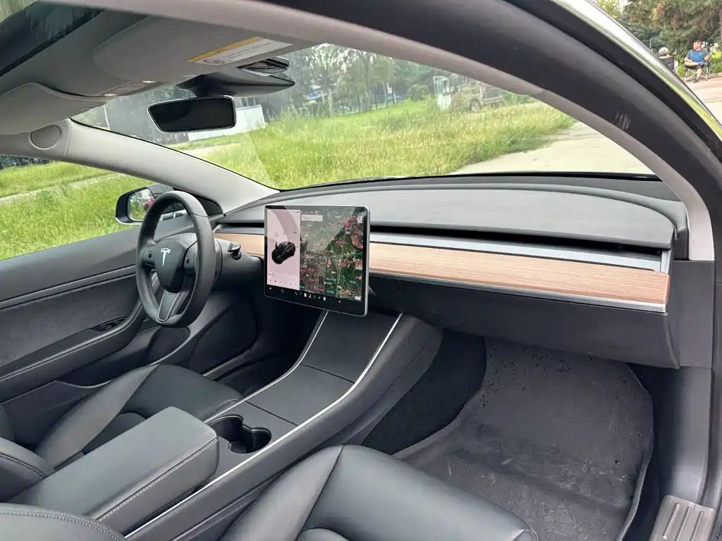 Tesla Model 3 2020 2020 Standard Range Rear-Wheel Drive Upgrade