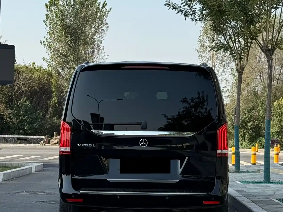 Mercedes-Benz V-Class 2018 V 260 L Premium Long Wheelbase Edition China VI фото 6
