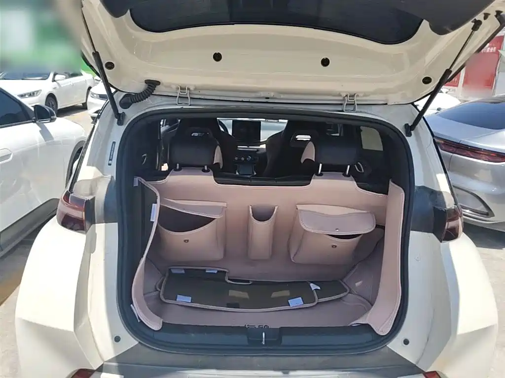 BYD Seagull 2023 Vitality Edition фото 19