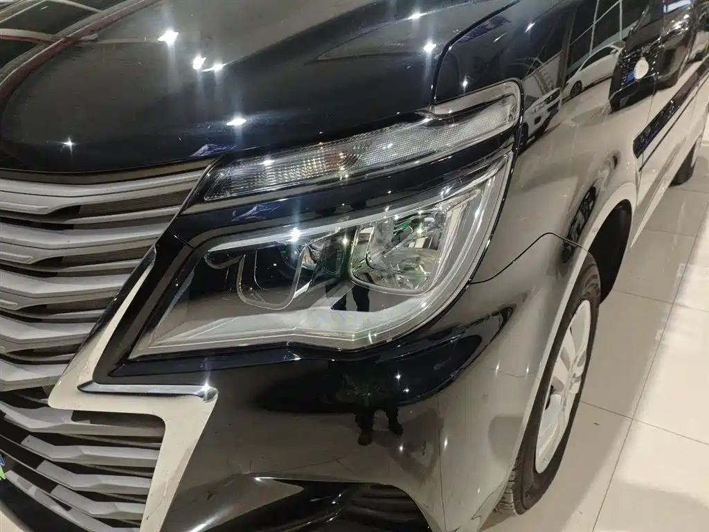 DONGFENG POPULAR LINGZHI
